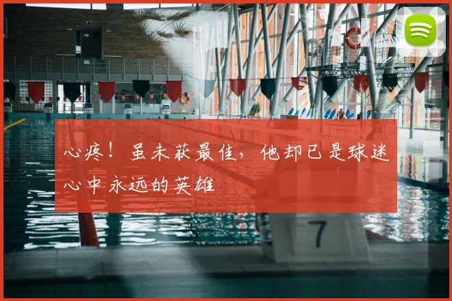 心疼！虽未获最佳，他却已是球迷心中永远的英雄
