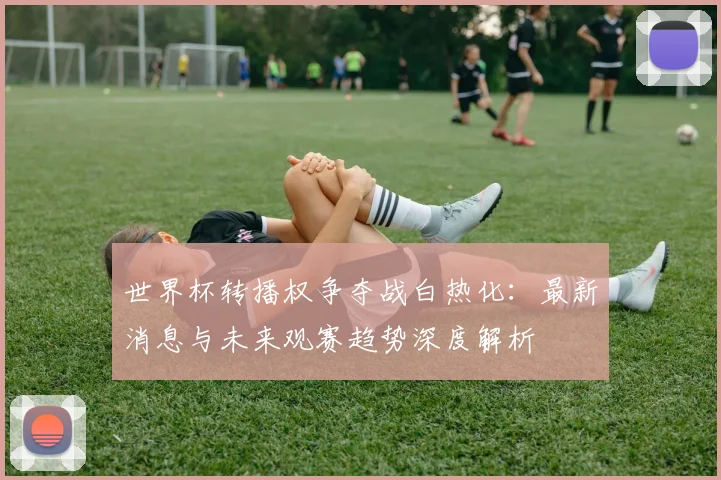 世界杯转播权争夺战白热化：最新消息与未来观赛趋势深度解析